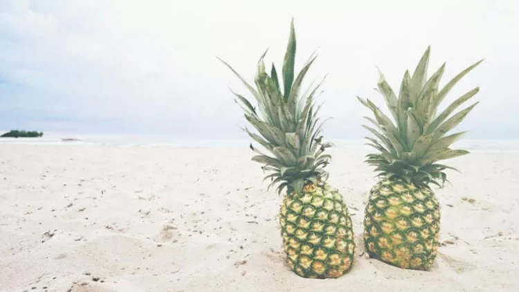 Psixoloji TEST: Sizi daha çox ehtiras, ya ağıl idarə edir? - Bir şəkil seçib öyrənin - FOTO