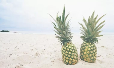 Psixoloji TEST: Sizi daha çox ehtiras, ya ağıl idarə edir? - Bir şəkil seçib öyrənin - FOTO