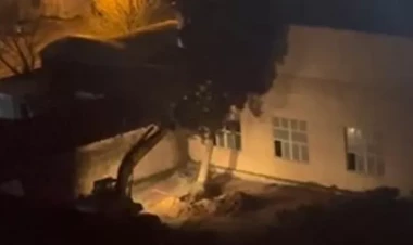 Bakının bu ərazisində ağaclar gecə ilə məhv edilir? - Açıqlama