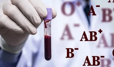 Sahibləri ürək xəstəliyinə meylli olan qan qrupları