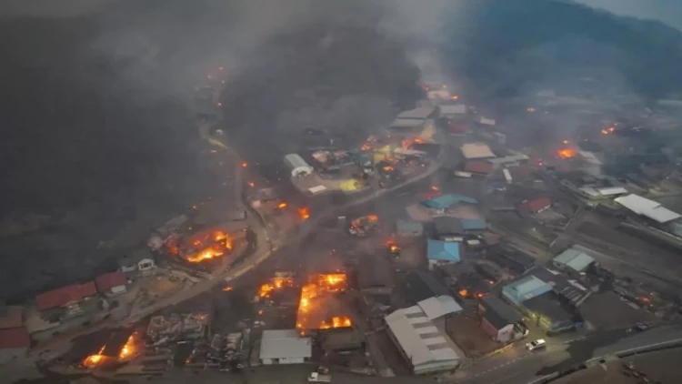 Cənubi Koreyada meşə yanğınları: onlarla insan həlak olub