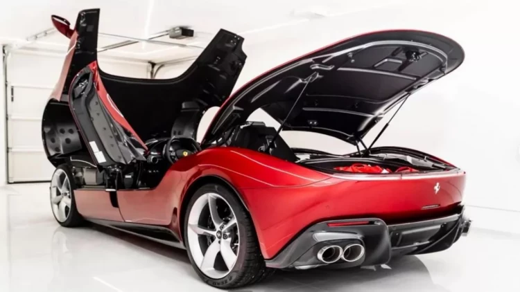 Dünyanın ən nadir 