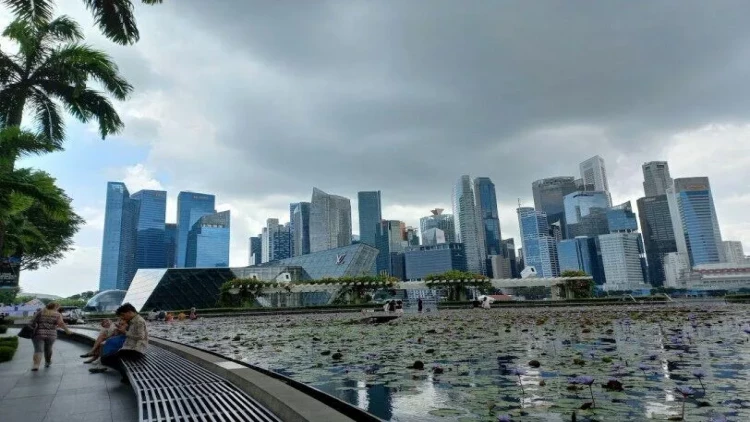 Balıqçı kəndindən “Asiya pələngi”nə doğru: “Cərimələr şəhəri”ndən reportaj - FOTOlar