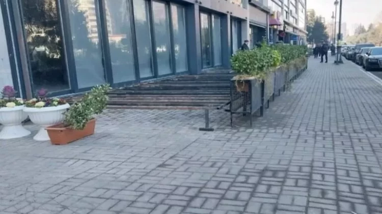 Səkinin qanunsuz zəbt olunmasının qarşısı alındı - VİDEO