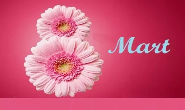 Bu gün 8 Mart - Beynəlxalq Qadınlar Günüdür