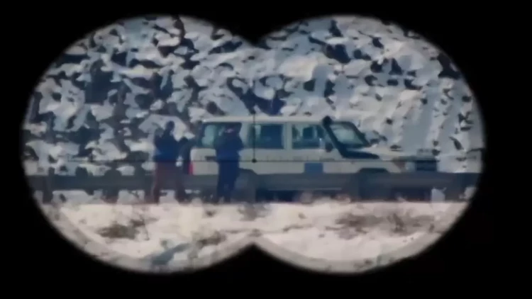 Aİ “müşahidəçilər