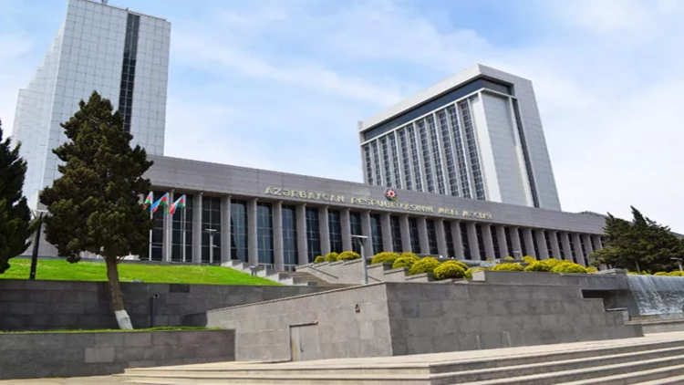 Milli Məclis Azərbaycanın D-8-ə qoşulmasını ratifikasiya edib