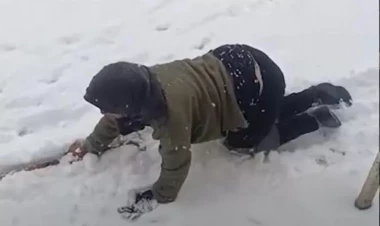 Cəlilabadda ayaqları tutulan 63 yaşlı qadın sürünərək yaşayır... - VİDEO