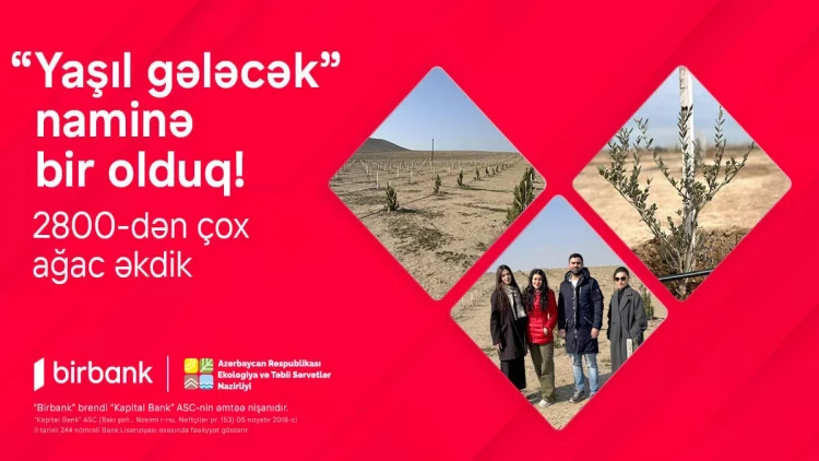 Birbank-lılar “Yaşıl gələcək” naminə 2800-dən çox ağac əkdilər