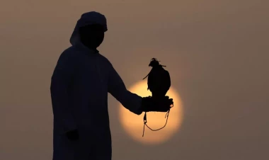 Azərbaycanda qanunsuz ov edən ərəblər CƏRİMƏLƏNDİ