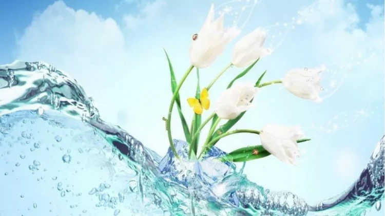 Bu gün Su çərşənbəsidir