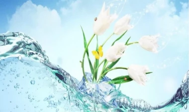 Bu gün Su çərşənbəsidir