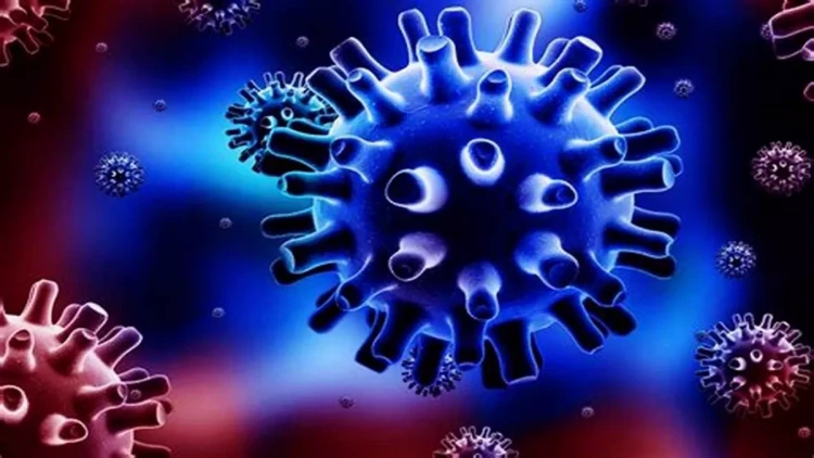 2025-ci ildə dünya üçün təhlükəli ola biləcək XƏSTƏLİK