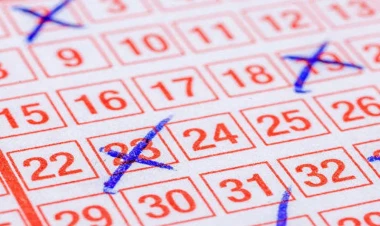 Oğurladıqları bank kartı ilə lotereya aldılar: İki 