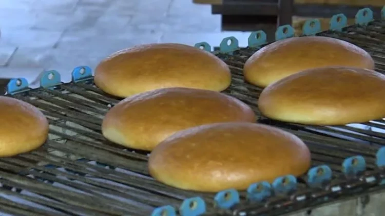 Çörəkbişirmə sexinin işçiləri dəm qazından zəhərləndi