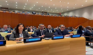 Azərbaycan gender bərabərliyi istiqamətində mühüm uğurlar qazanıb - Sevil Mikayılova BMT platformasında