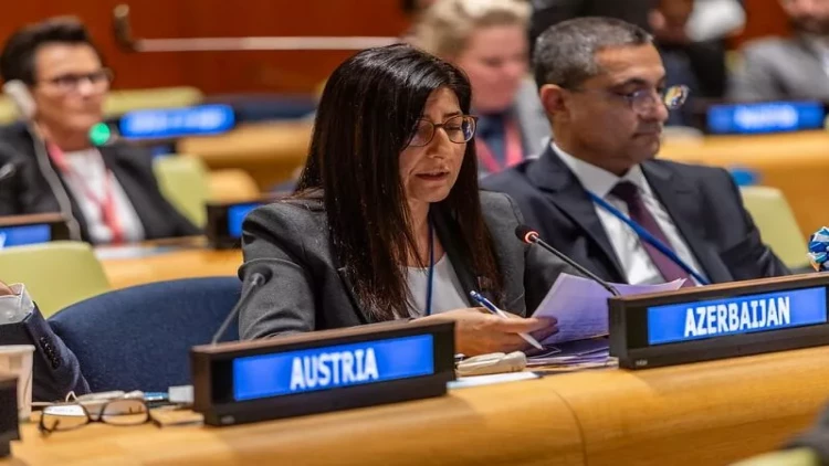 Sevil Mikayılova Nyu-Yorkda BMT dinləmələrində çıxış edib - VİDEO - FOTO