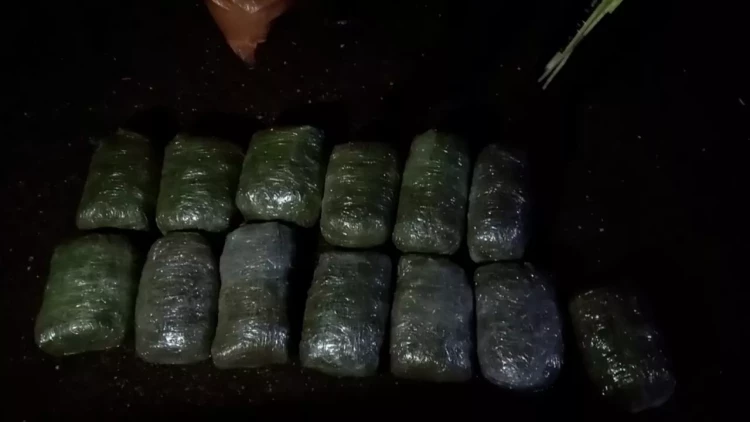 Yasamalda narkotik əməliyyatı - 25 kq heroin və marixuana dövriyyədən çıxarıldı - VİDEO - FOTO