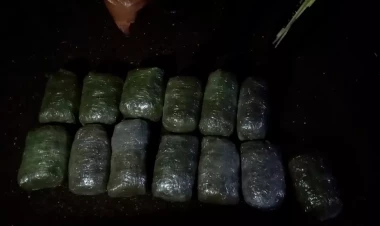Yasamalda narkotik əməliyyatı - 25 kq heroin və marixuana dövriyyədən çıxarıldı - VİDEO - FOTO