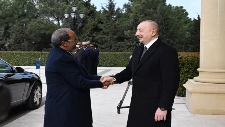 Somali Prezidentinin rəsmi qarşılanma mərasimi olub - VİDEO - FOTO