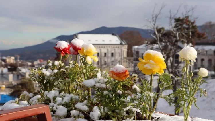 Rayonlarımız ağ örpəyə büründü - FOTOlar