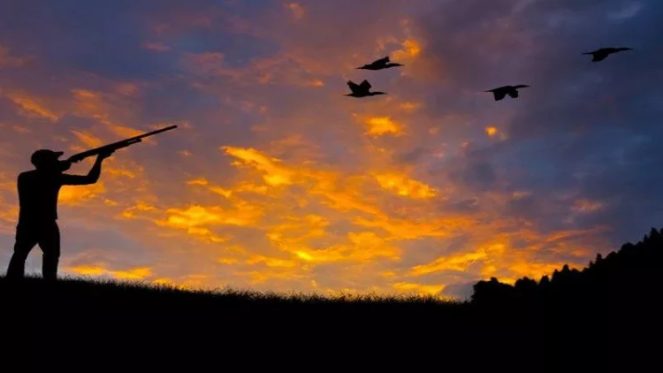 Qanunsuz ov edən şəxs saxlanıldı