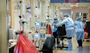 Alimlər potensial təhlükəni aşkar etdilər