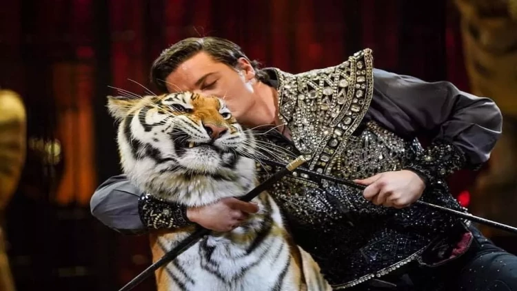 İlk dəfə olaraq İtaliyan sirki Bakıda təqdim olunacaq - FOTO