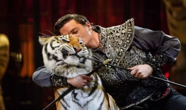 İlk dəfə olaraq İtaliyan sirki Bakıda təqdim olunacaq - FOTO