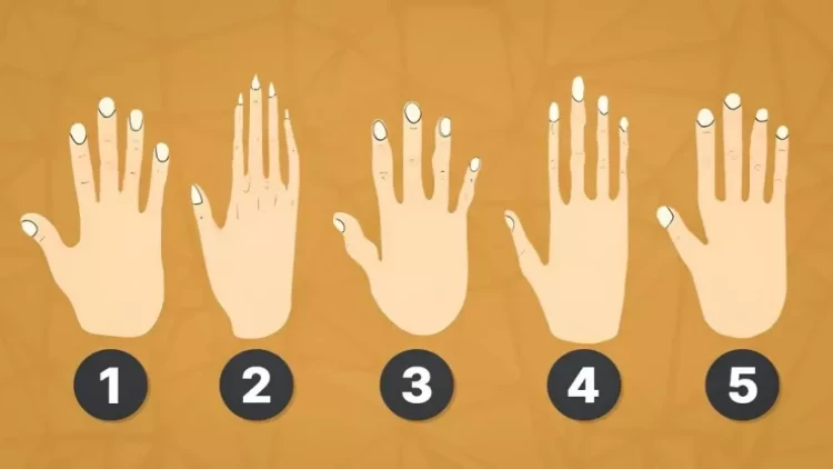 Əlinizin forması necədir? gizli şəxsiyyət xüsusiyyətləri üçün TEST