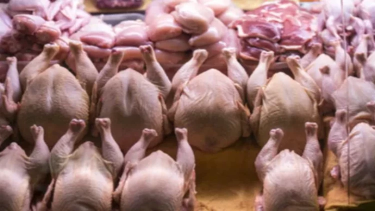 Broyler toyuğunun içərisindən görün nə çıxdı