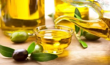 Zeytun yağı xarab olur?