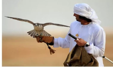 Ərəblər Biləsuvarda 