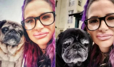 5 gündür xəbər çıxmırdı - qadını itləri yedi - FOTO