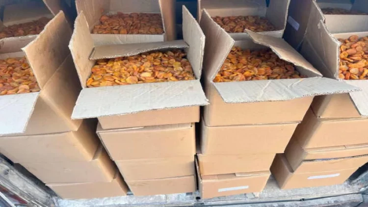 İrandan gətirilən 20 min kq-dan çox uyğunsuz qida məhsullu məhv edilib - FOTO