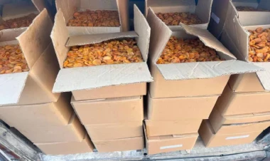 İrandan gətirilən 20 min kq-dan çox uyğunsuz qida məhsullu məhv edilib - FOTO