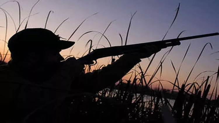 Ov həvəskarlarına ciddi XƏBƏRDARLIQ - VİDEO