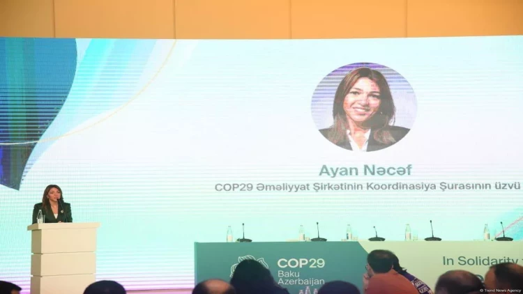 COP29-da iştirak üçün 3000-ə yaxın media nümayəndəsi qeydiyyatdan keçib