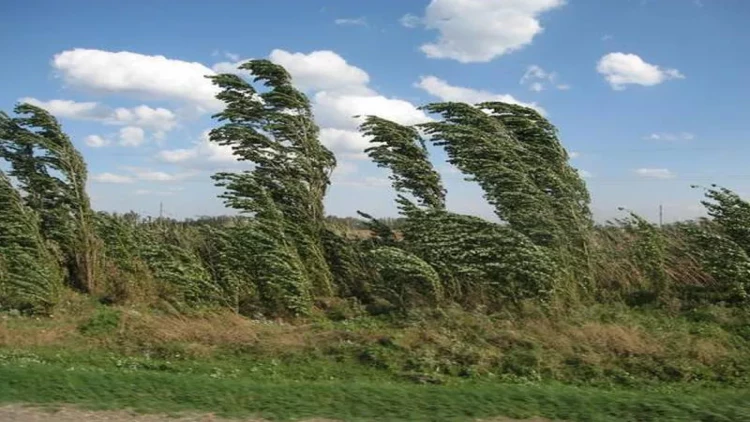 Küləklə bağlı daha bir xəbərdarlıq