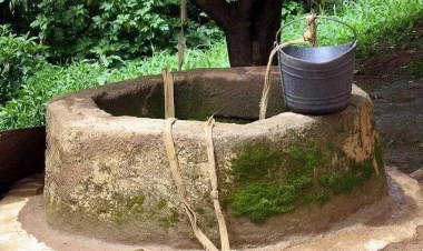 Ailə faciəsi: meyvə yığmaq istədi, canından oldu