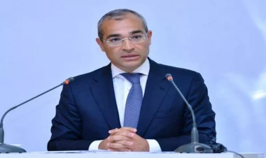 Azərbaycanda “karbon vergisi”nin tətbiqi nəzərdən keçirilir - Mikayıl Cabbarov