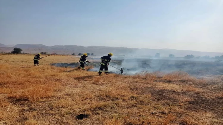 Babək və Şahbuz şəhərlərində yanğın oldu