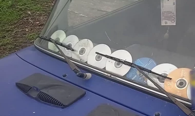 Maşınların ön şüşəsinə vurulan disklər radardan qoruyur?