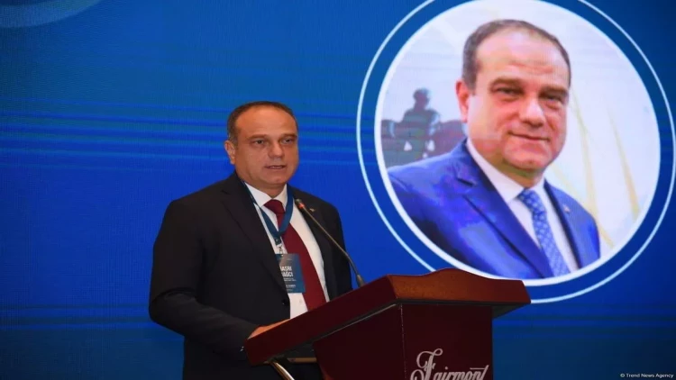 Bakıda keçiriləcək COP29 dünya üçün çox önəmli bir addımdır - Basri Bağcı