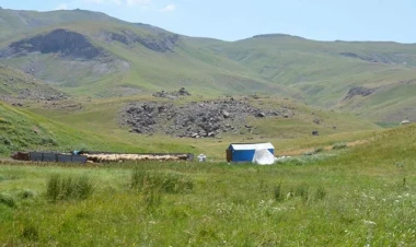 İstirahət üçün otluqda uzandı - Faciəvi şəkildə öldü