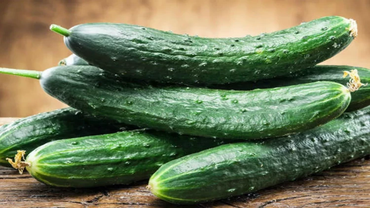 Təzə və xırtıldayan xiyarı belə saxlayın -  Az adam bilir