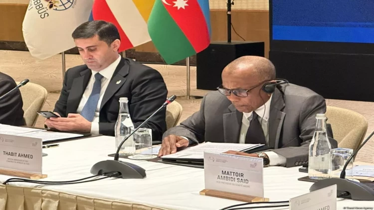 Biz müstəqil olmaq istəyirik - Thabit Ahmed