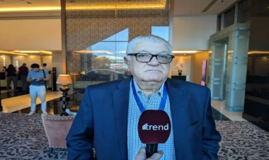 Seçkilərin təşkilat səviyyəsi heyranedicidir - Petar Kanev