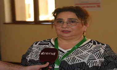 Səbaildə yüksək aktivlik müşahidə olunur