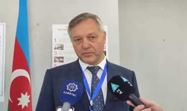 Seçkilərdə gənclər yüksək fəallıq nümayiş etdirir - Dmitri Kobitski